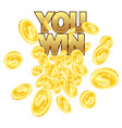 a scattering of gold coins banner you won online vector image