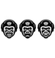 monkey head template set with headphones vector image vector image