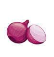 red onion icon vector image vector image