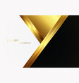 abstract geometric luxury background with gold vector image