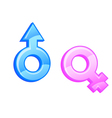 gender symbols vector image