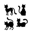 cats on white background vector image vector image