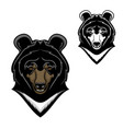 himalayan bear head mascot cartoon vector image