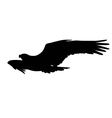 eagle flying vector image vector image