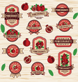 vintage pomegranate labels sticker vector image