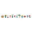 set of icons flower bouquets chamomile gerber vector image