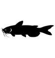 Silhouette of catfish Royalty Free Vector Image