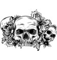 a human skulls with roses on white background vector image