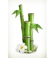 bamboo icon vector image vector image