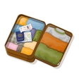 open suitcase with clothes passports with visas vector image