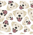 seamless pattern golden labrador vector image vector image