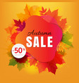 autumn sale banner with colorful stain and leaves vector image