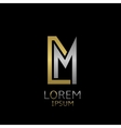 dm letters logo vector image