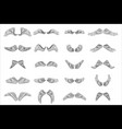 lineart isolated wings bird animal angel fly set vector image vector image
