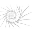 spiral design elements abstract lines black vector image vector image