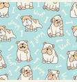 blue bulldog pattern vector image