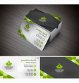 business card vector image vector image