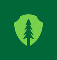 green shield with pines tree forest logo design vector image