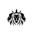 lion head vector image vector image