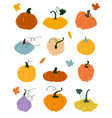 pumpkin various shapes and colors thanksgiving vector image vector image