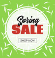 spring sale banner template for online store vector image