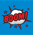 bomb vector image vector image