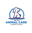 pet care logo designs vector image