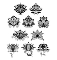 indian or persian paisley flowers vector image