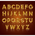 alphabet golden vector image