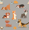 different dogs breed cute puppy characters vector image