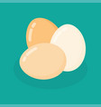 three chicken eggs with shadow egg vector image vector image