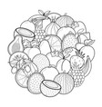 doodle fruits circle shape pattern for coloring vector image vector image