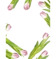 spring - poster layout eps 10 vector image vector image