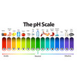 Ph scale on white background Royalty Free Vector Image