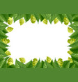 hops vector image vector image
