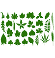 set of different leaves vector image