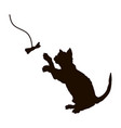black silhouette playing cat isolated kitty vector image