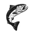 salmon icon isolated on white background design vector image