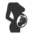pregnancy vector image vector image