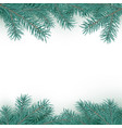 fir branch border pattern winter holiday vector image