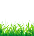 natural background vector image vector image