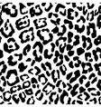 leopard pattern vector image