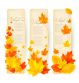 three autumn banners with colorful leaves vector image