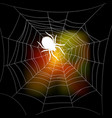 autumn background with a spiders web vector image vector image