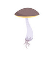 birch mushroom icon vector image vector image
