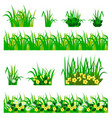 flowers in grass set vector image