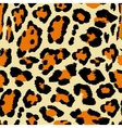 leopard pattern vector image
