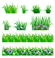 set of garden flowers in grass isolated on white vector image