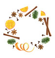 wreath round garland of spices orange and fir vector image