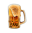 beer mug glass colored drawing realistic vector image